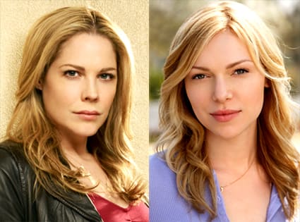 In Plain Sight, Prepon