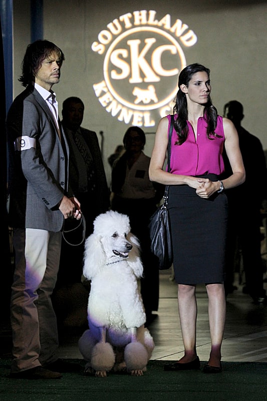 Deeks and Kensi at the Dog Show
