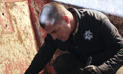 CSI Review: "Bump and Grind"