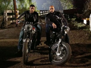 Agents of shield season 3 watch online discount