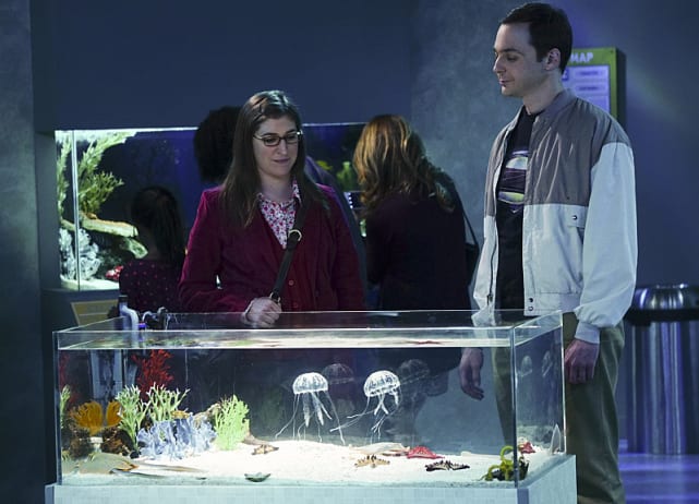 The aquarium thanksgiving the big bang theory