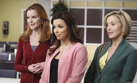 Watch desperate housewives shop season 6 episode 13