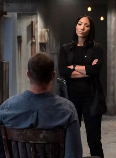 Blindspot season clearance 5 online