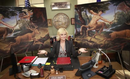 Parks and Recreation Review: "Jerry's Painting"