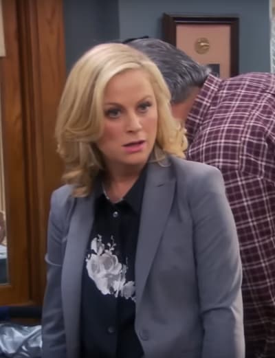 Amy Poehler as Leslie Knope  - Parks and Recreation
