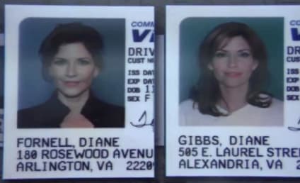NCIS Sneak Peeks: You Look a Lot Like Our Ex-Wife!