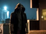 Cicada - The Flash
