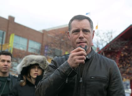Chicago pd season discount 1 watch series