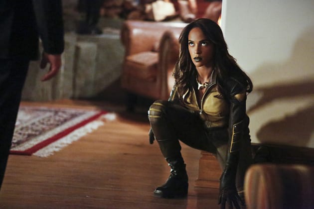 Vixen! - Arrow
