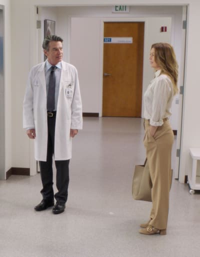 Honoring Ellis - tall  - Grey's Anatomy Season 18 Episode 1
