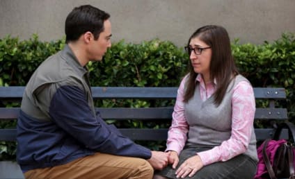 Watch The Big Bang Theory Online: Season 12 Episode 1