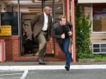 Run, Chance and Winston!