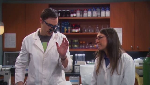 "The Vacation Solution," The Big Bang Theory Season 5 Episode 16