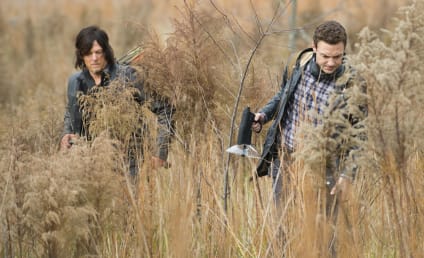 The Walking Dead: Watch Season 5 Episode 16 Online