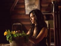 Janina Gavankar as Tess