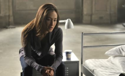 Sources: Nikita to Add Characters, Woo Female Viewers