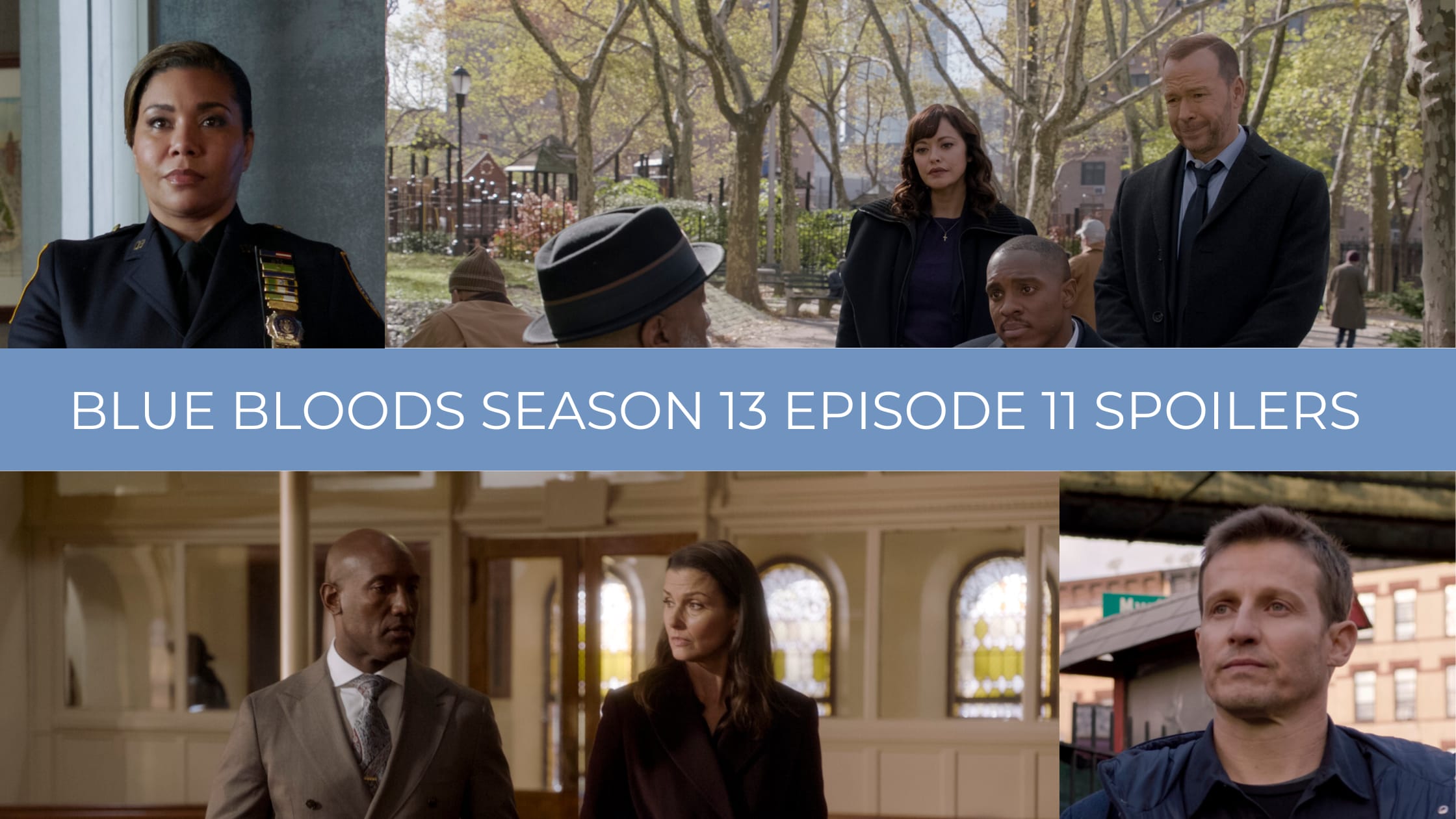 Blue bloods season discount 1 free online