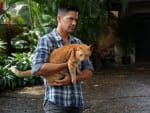 The Missing Cat - Magnum P.I.