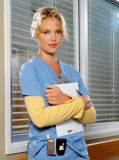 heigl greys pic 4