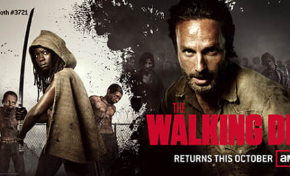 Walking Dead Season 3 Poster, Scoop: Revealed!