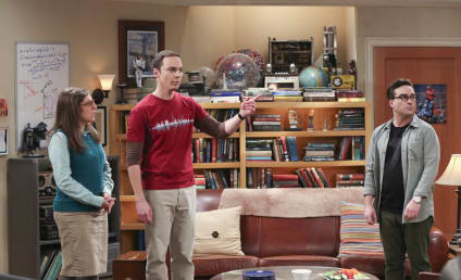 The Big Bang Theory Season 10 Episode 12 Review: The Holiday Summation