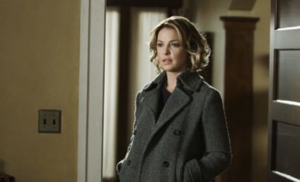 NBC Acquires Rights to Katherine Heigl CIA Drama