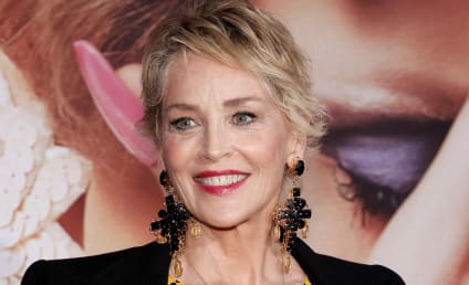 The Flight Attendant Season 2 Spoilers: Sharon Stone Joins as Cassie's Mom!