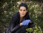 Missing Evidence - Rizzoli & Isles