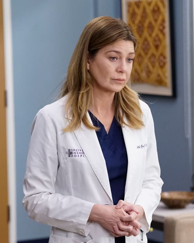 Grey's Anatomy Season 16 Episode 14 Review: A Diagnosis - TV Fanatic