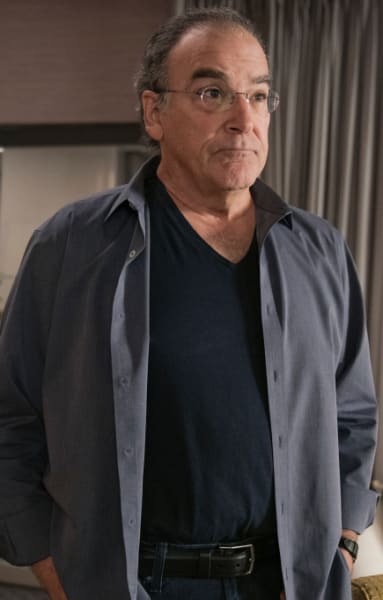 Wackner's sanity - The Good Fight Season 5 Episode 6