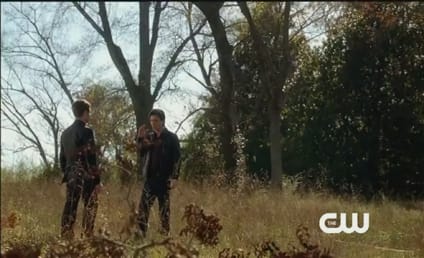 Extended Vampire Diaries Trailer: Can There Be a Truce?