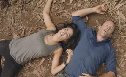Hawaii Five-0 Season 8 Episode 20 Review: Kind Is The Bird of Kaiona