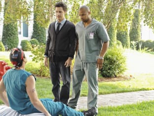 Scrubs season 9 watch online shop