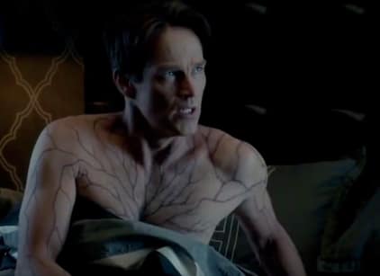 Stream true blood discount
