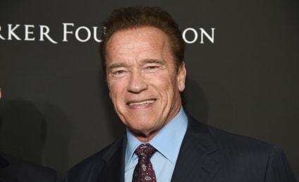 Arnold Schwarzenegger Spy Drama Nabs Netflix Series Order