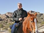 Saddle Up!