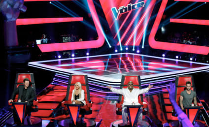 The Voice Season 3 Premiere Review: Going Blind