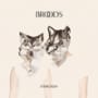 Broods medicine