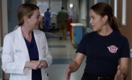 Grey's Anatomy Season 14 Episode 13 Review: You Really Got a Hold On Me