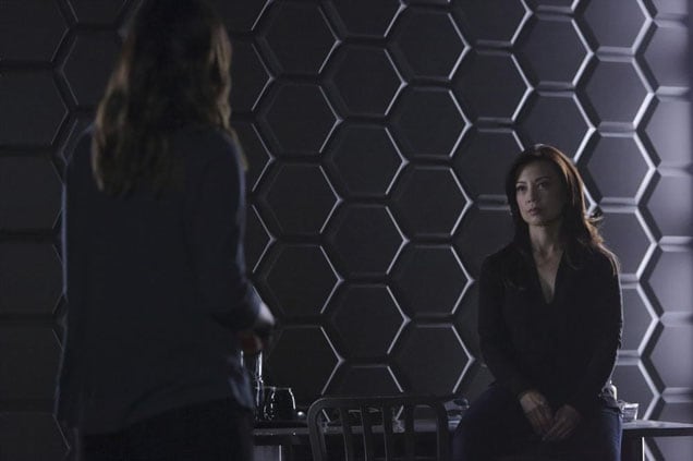 Listen Up Skye - Agents of S.H.I.E.L.D. Season 2 Episode 13