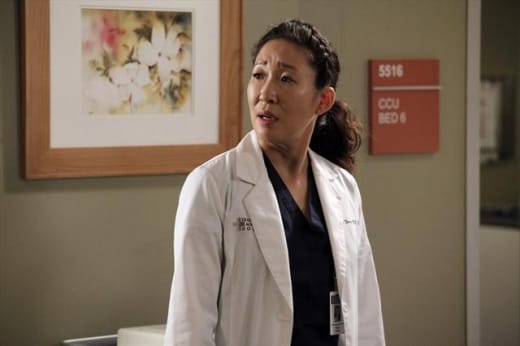 Sandra Oh as Cristina Yang Pic