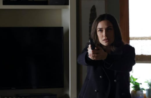 Liz Has a Gun - The Blacklist