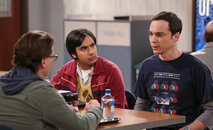 The Big Bang Theory: Watch Season 7 Episode 24 Online