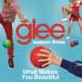 Glee cast what makes you beautiful