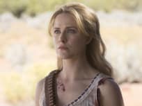 Always Remembered - Westworld
