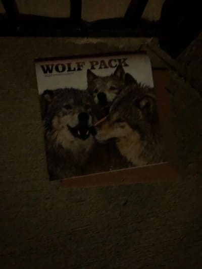 The Wolfpack leaves propaganda at Corey Feldman's doorstep