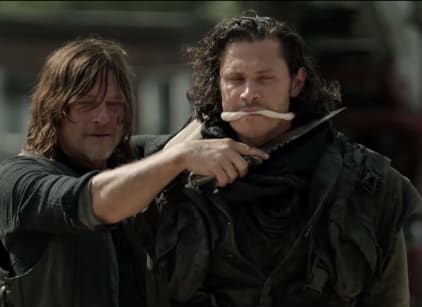 The walking dead season sales 9 online