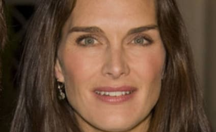 Brooke Shields Confirms Lipstick Jungle Isn't Cancelled