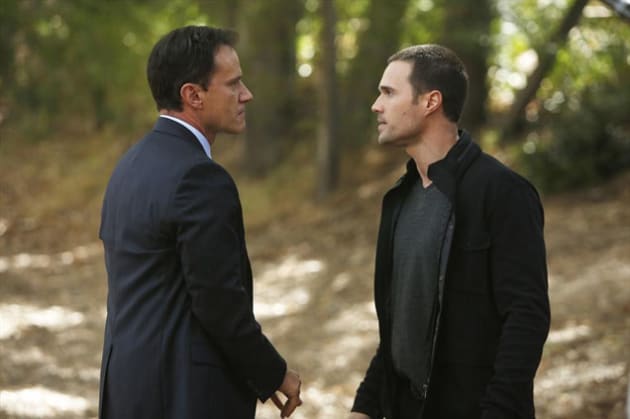 Watch agents sales of shield putlocker