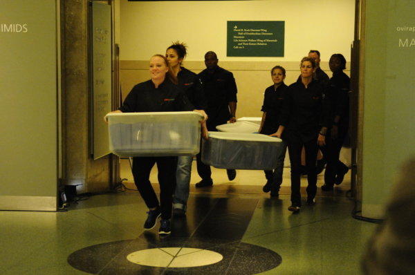 Arriving at the Museum